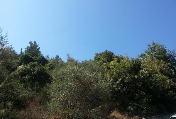 land in Bchamoun with 2 interfaces