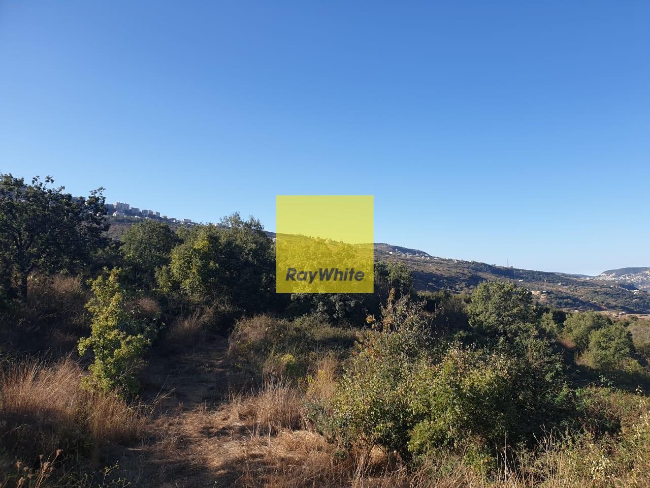 default property image