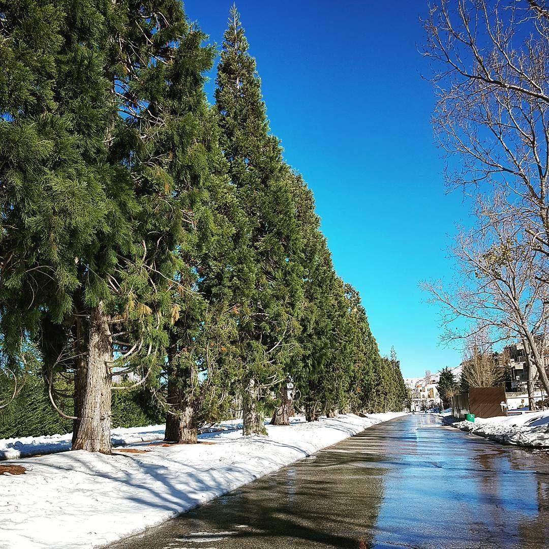 Land in Faqra Club-Prime Location!