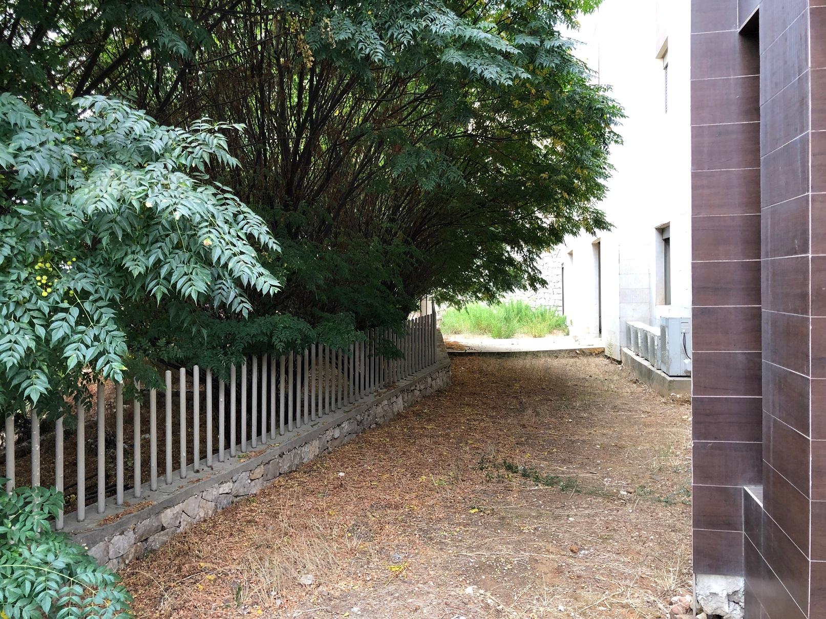 HOT DEAL- Apartment in Monte Verde with Garden