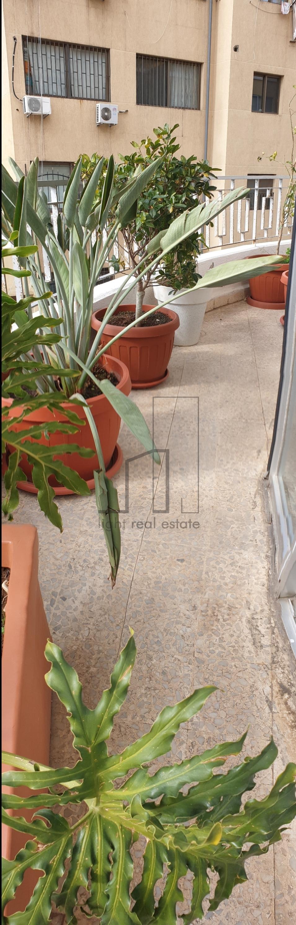 Spacious | renovated building | balconies