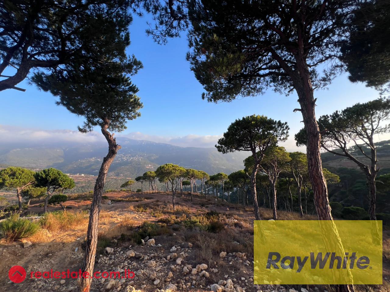 Land for sale in Kaakour with Stunning Mountain view