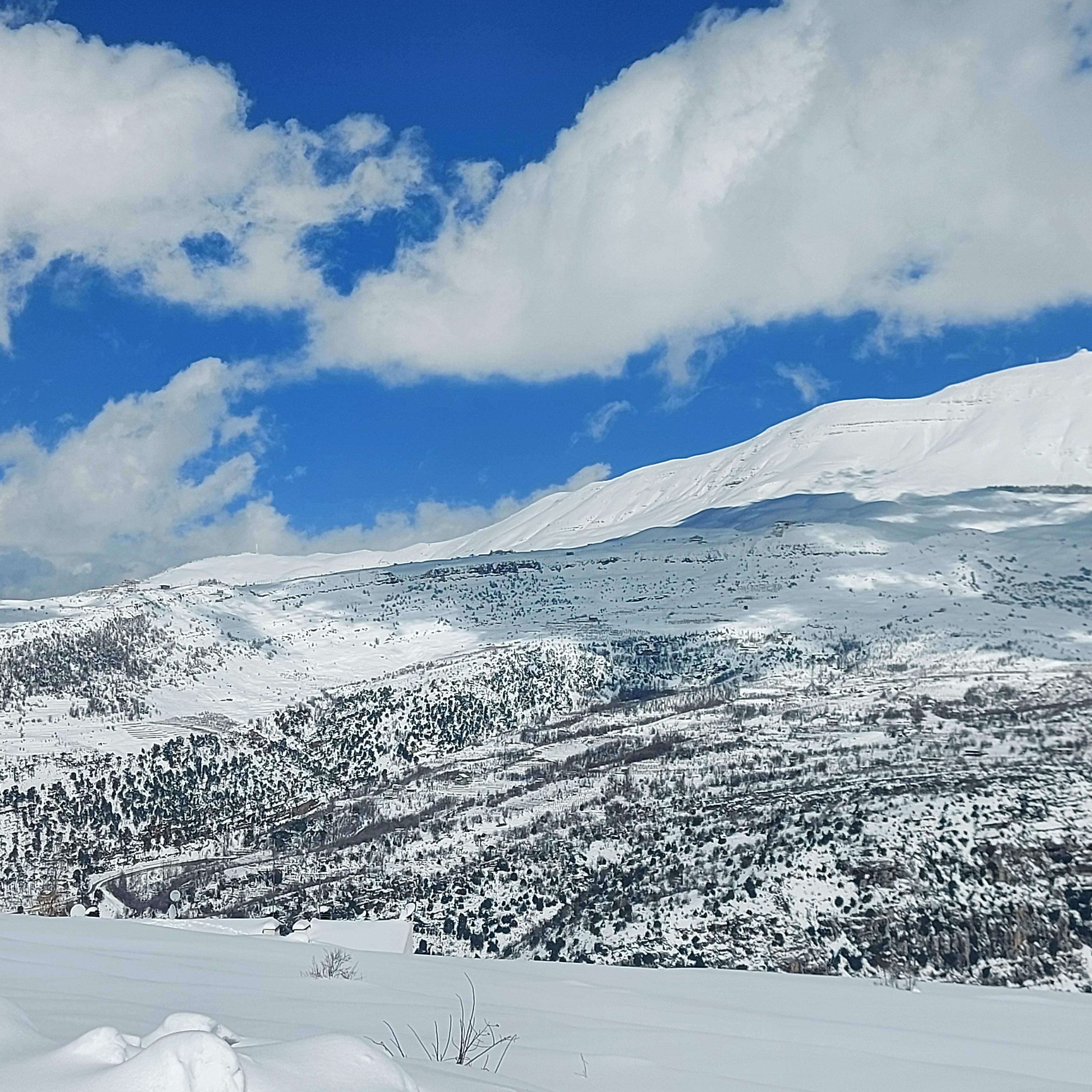 Land for sale In Zaarour Club 25/50