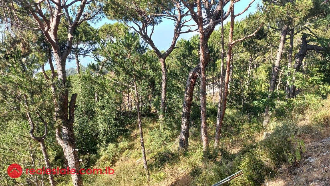 Exceptional Land in Naas Bickfaya For Sale