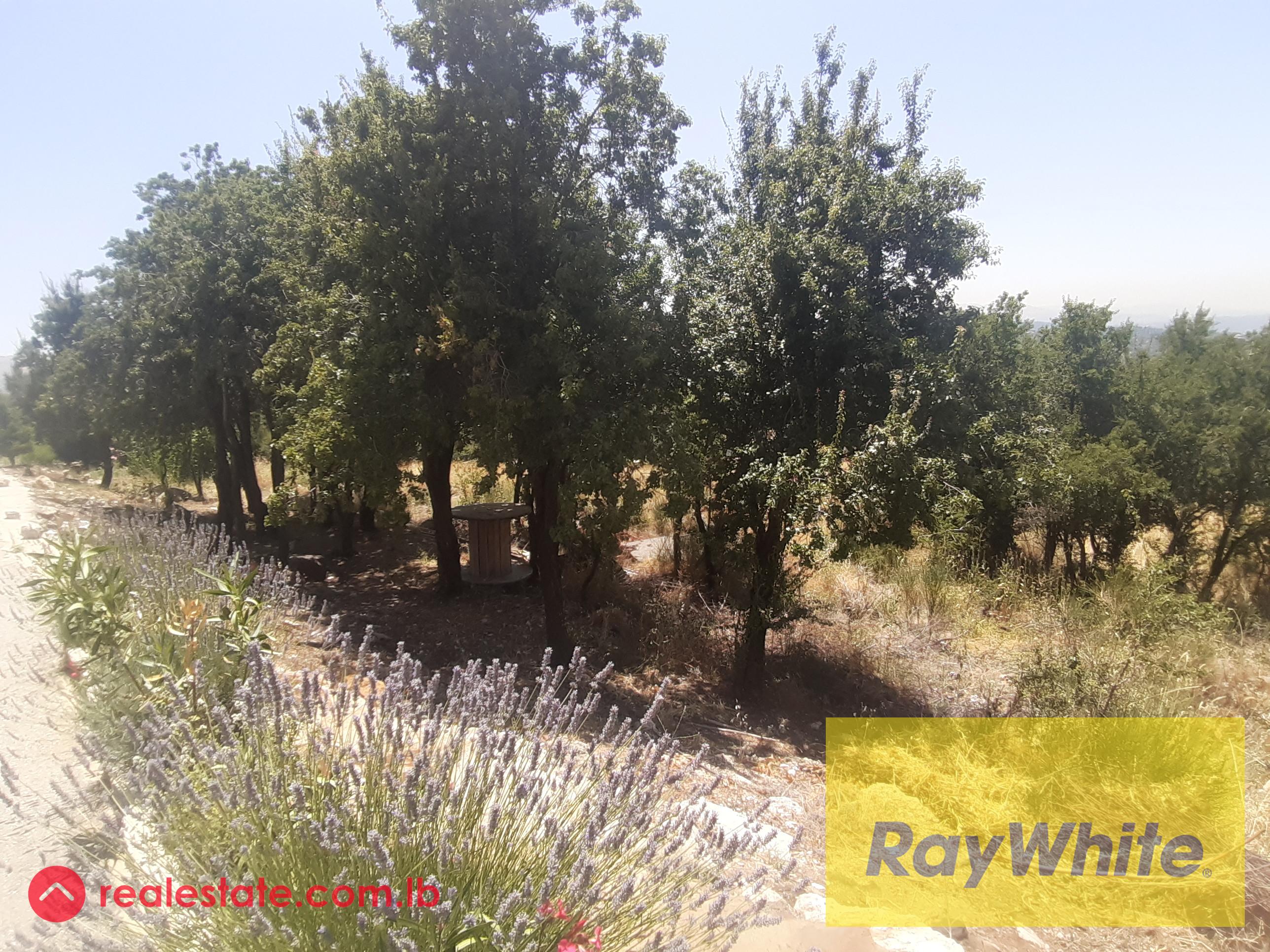 Beautiful Land for Sale.