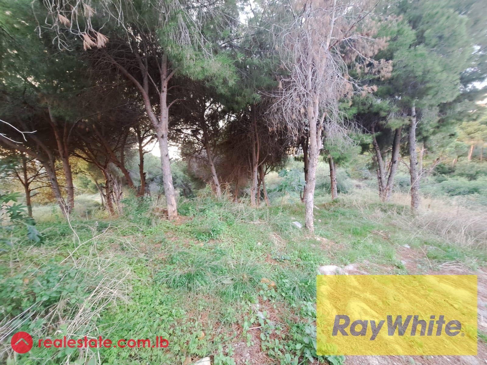 Prime location land for sale in Mtayleb 1500Sqm