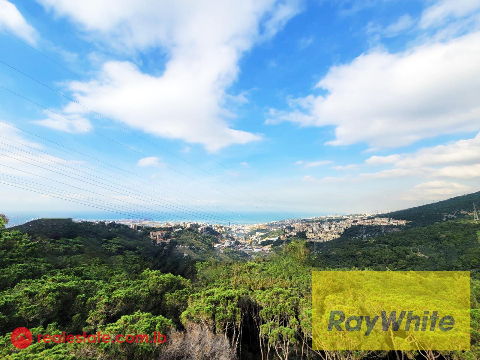 Duplex for sale in Ain Saadeh