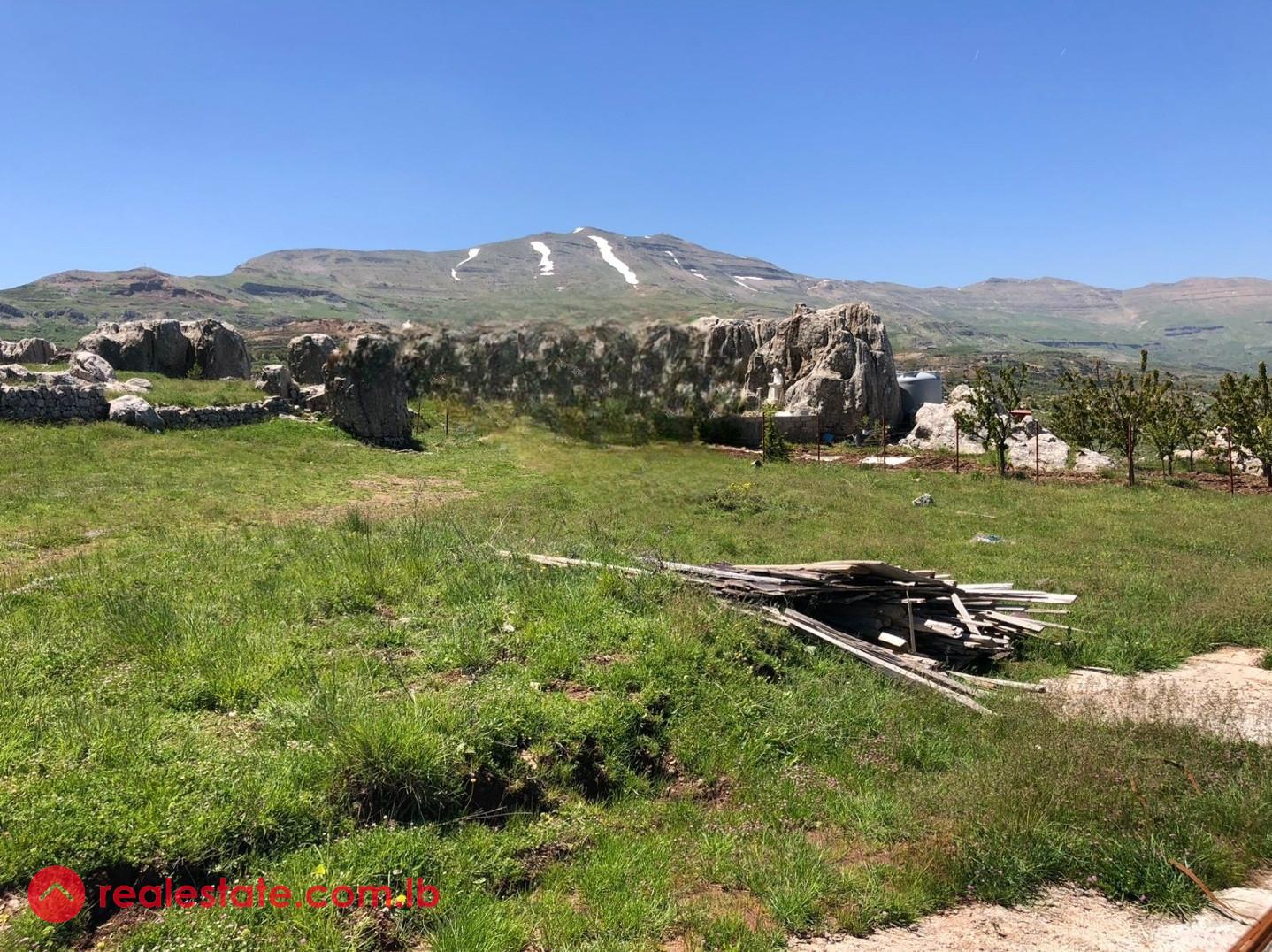 Flat land | residential | road access