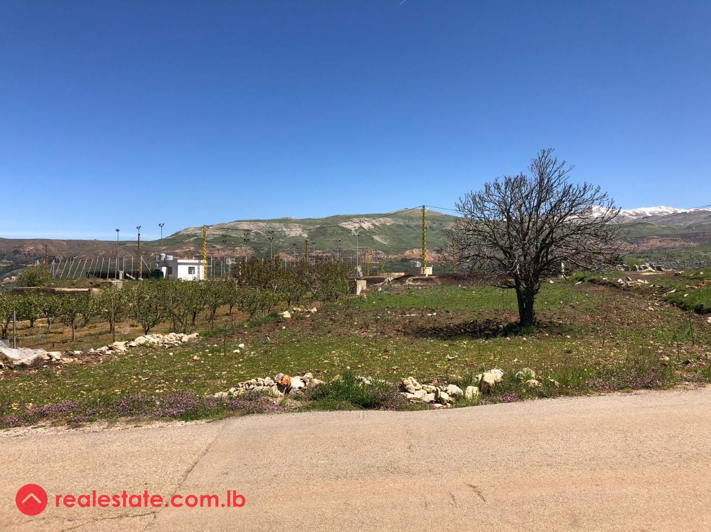 Flat land | residential | road access