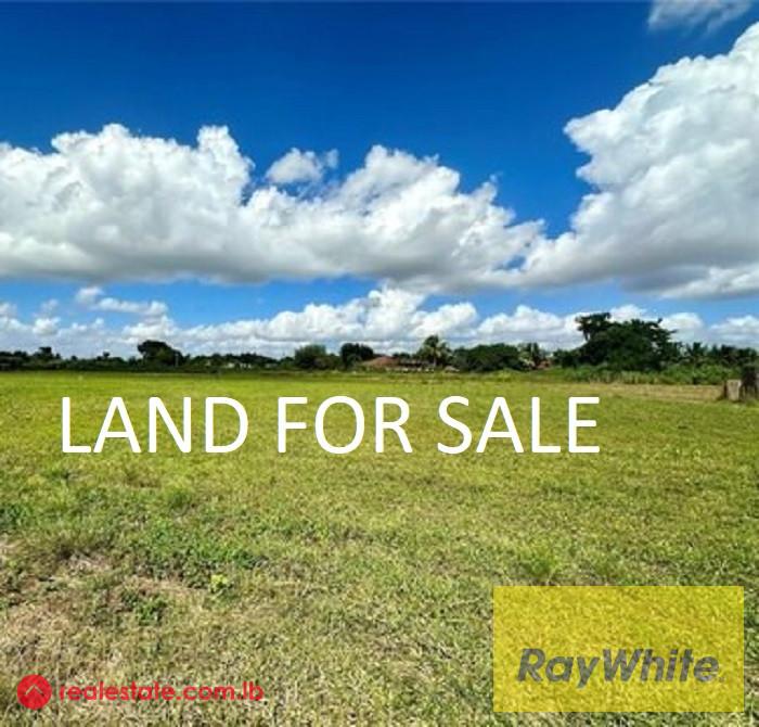 Land for sale in Bolonia