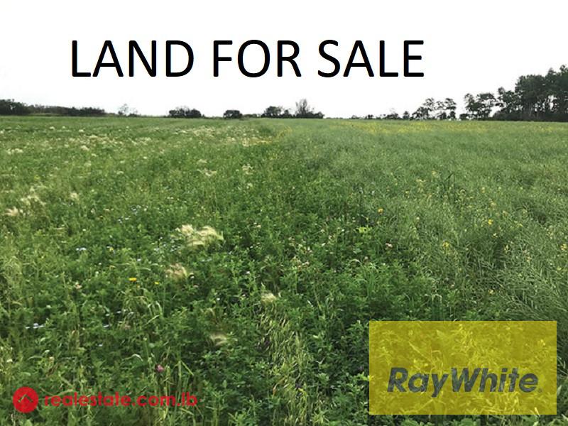 Land for sale in Bharsaf