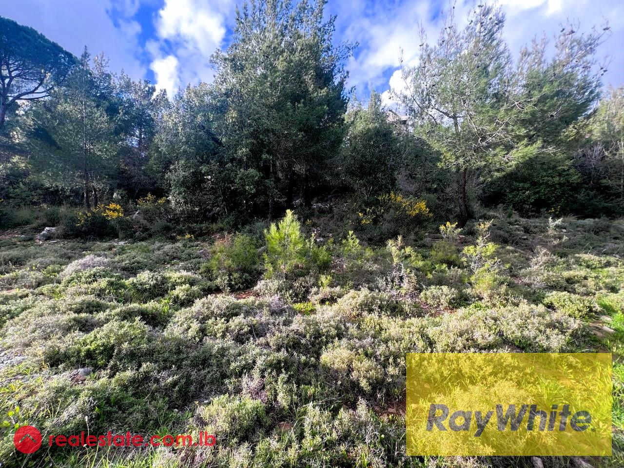 Land for sale in Ouyoun, 765 sqm