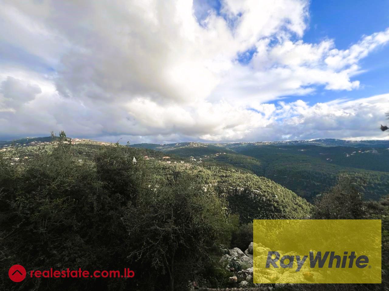 Land for sale in Ouyoun, 765 sqm