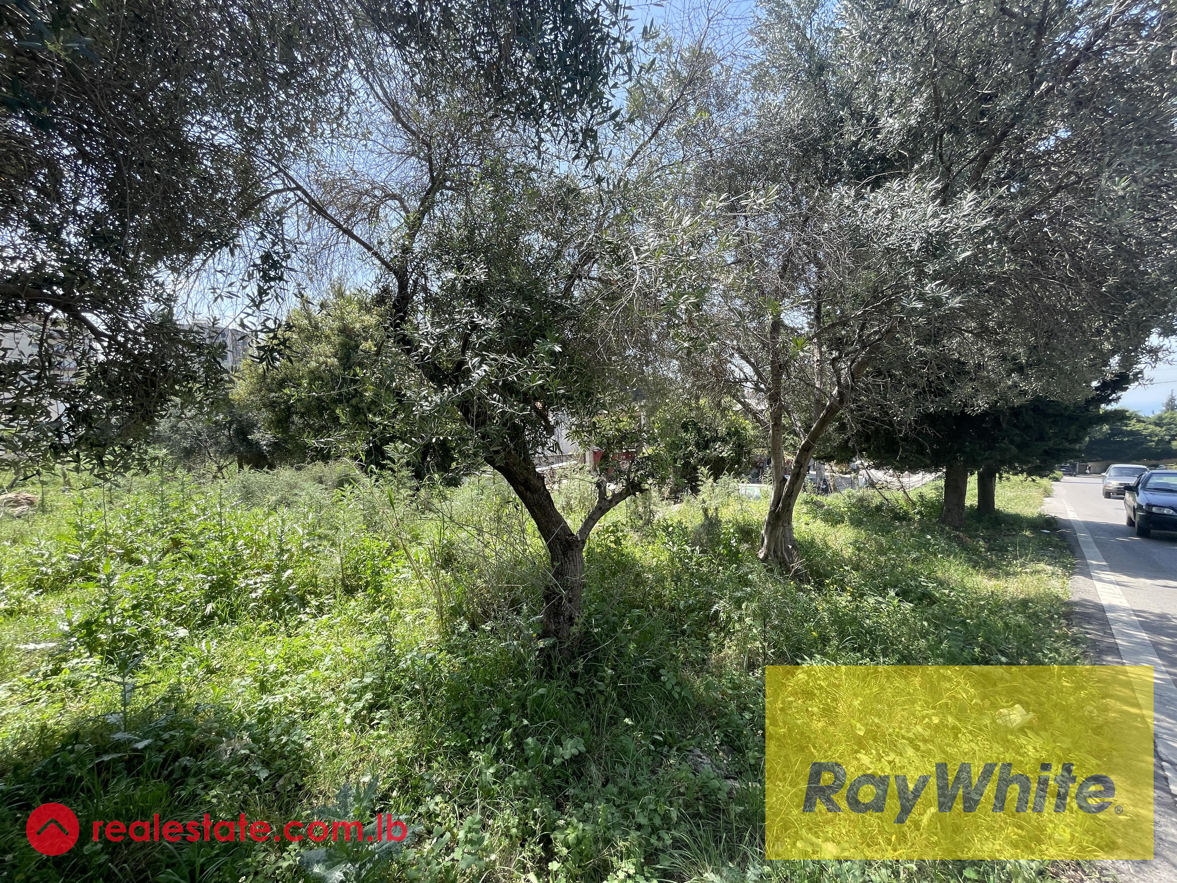 Land for sale in Dbayeh | Sea view