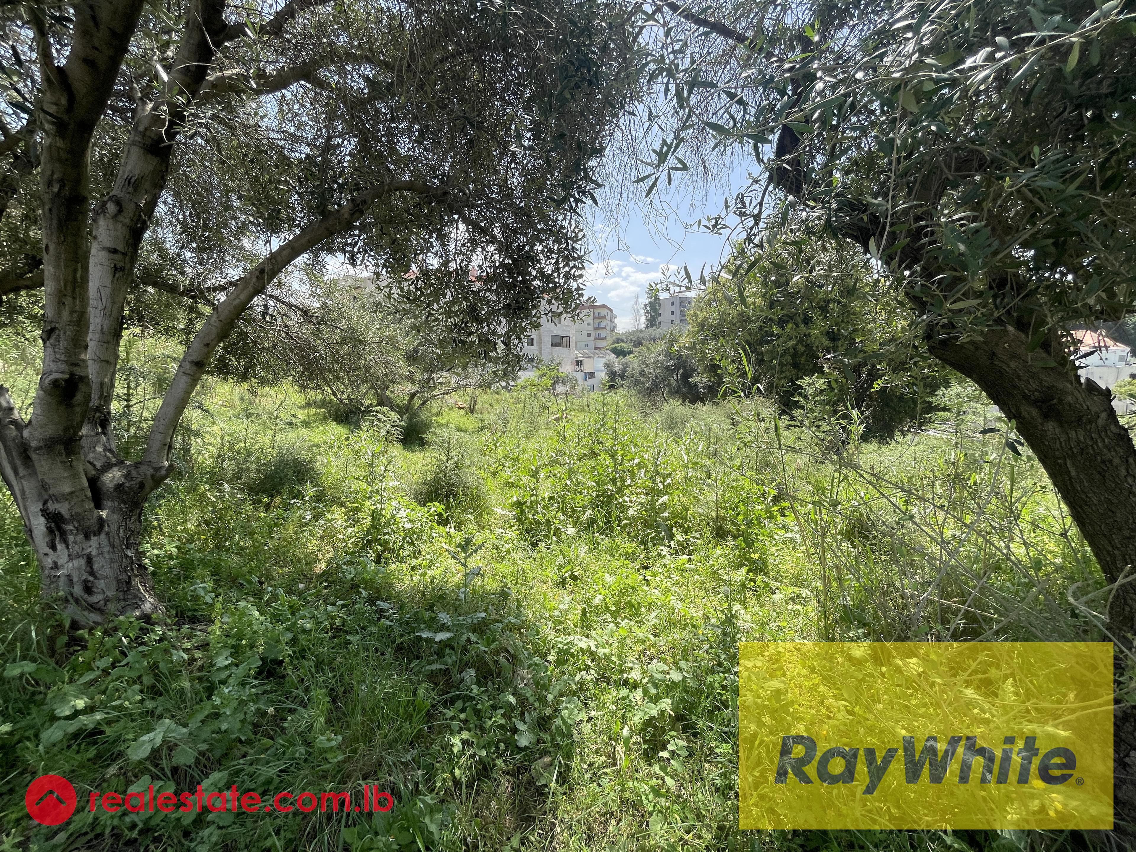 Land for sale in Dbayeh | Sea view