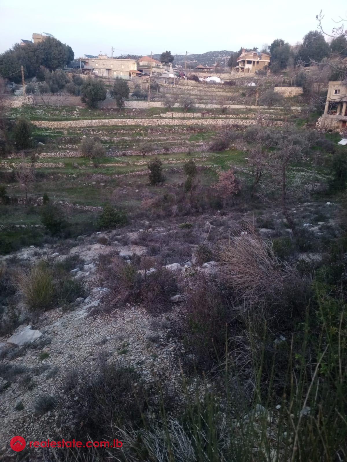 Tranquil Rereat Haven in Mechmech