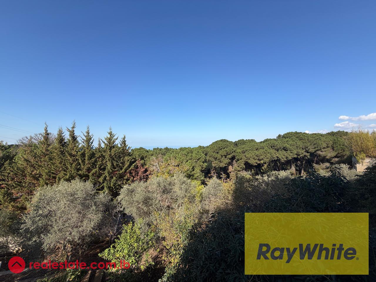 Furnished apartment with terrace for rent in Broummana