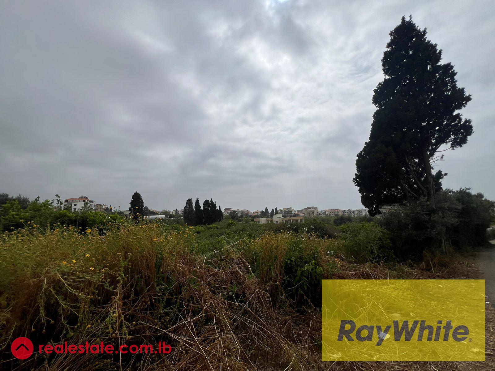 Land For Sale In Batroun
