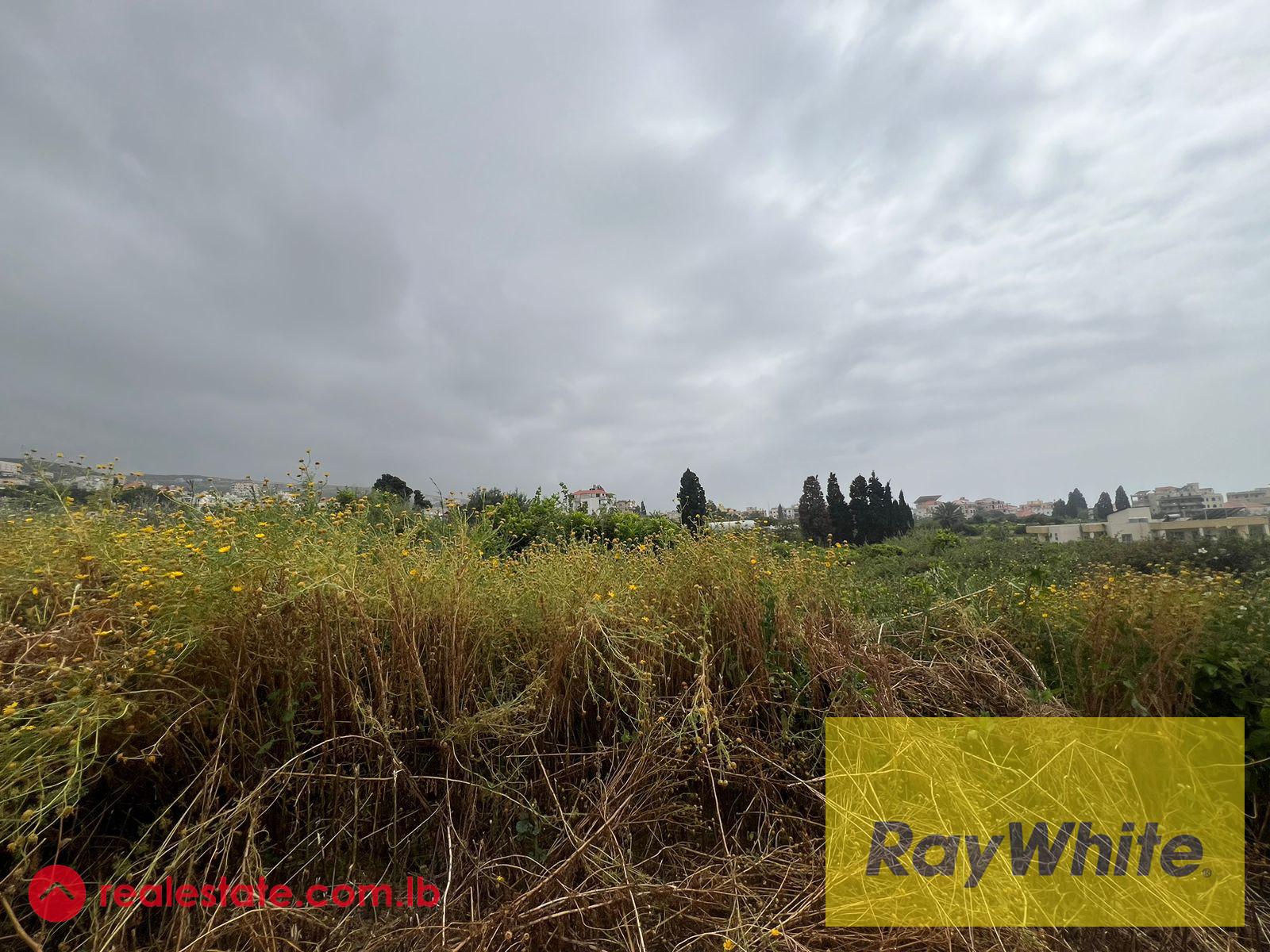 Land For Sale In Batroun