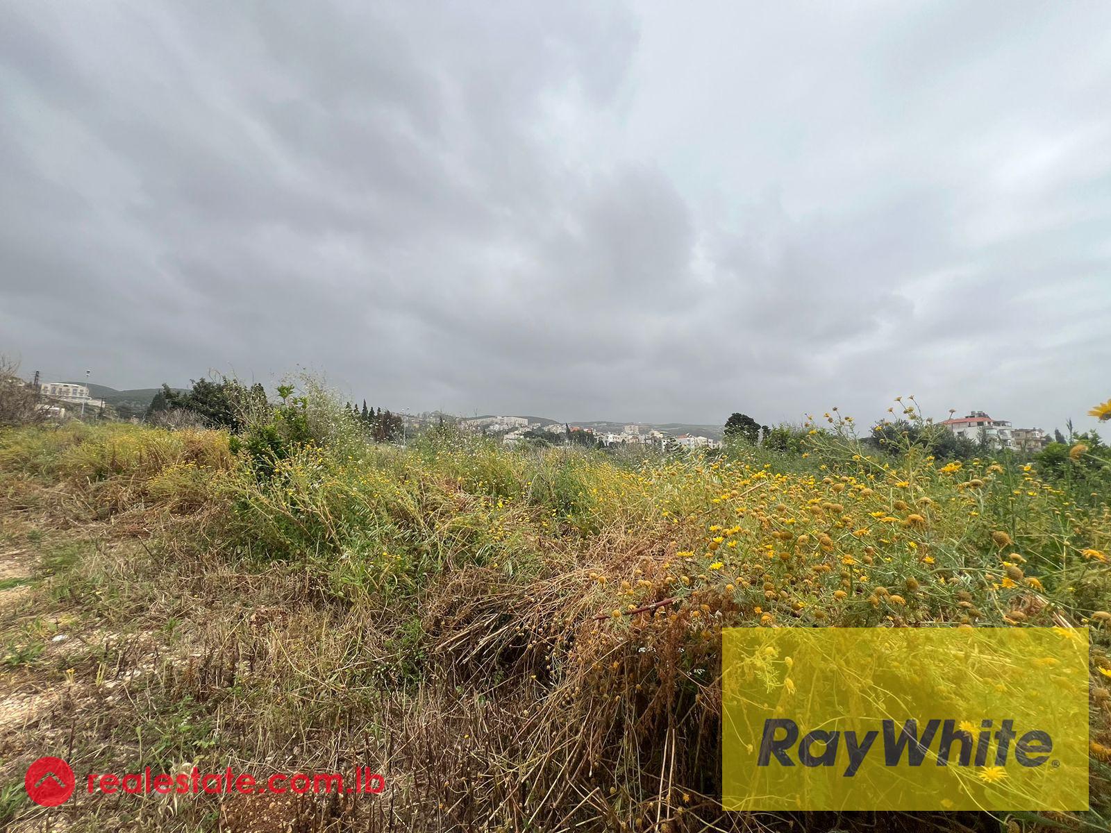 Land For Sale In Batroun