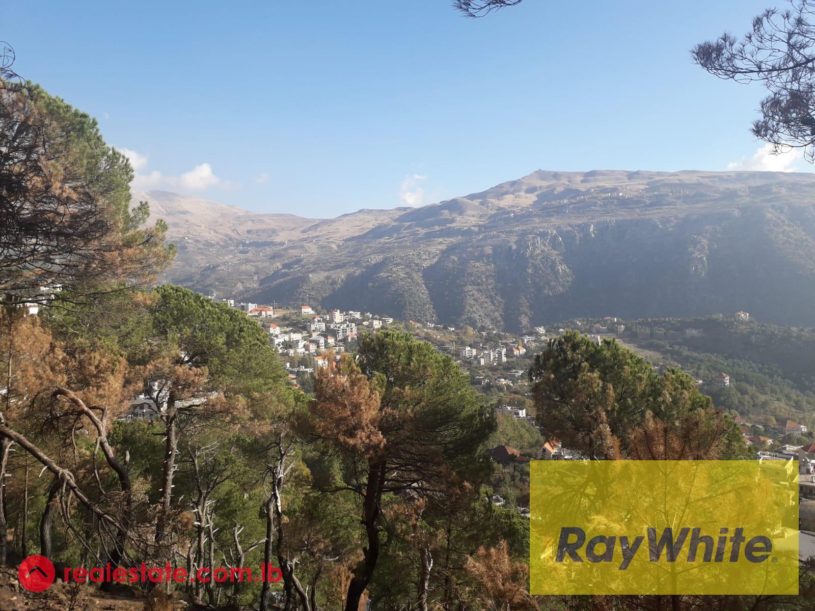 Land for Sale in Baskinta