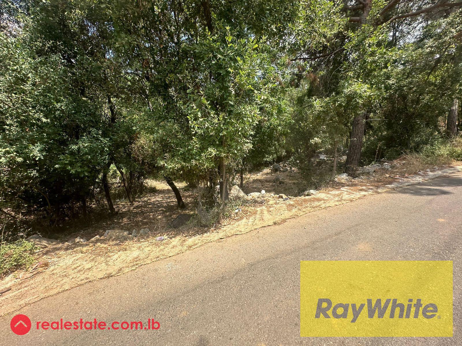 Land for Sale in Qornit El Hamra