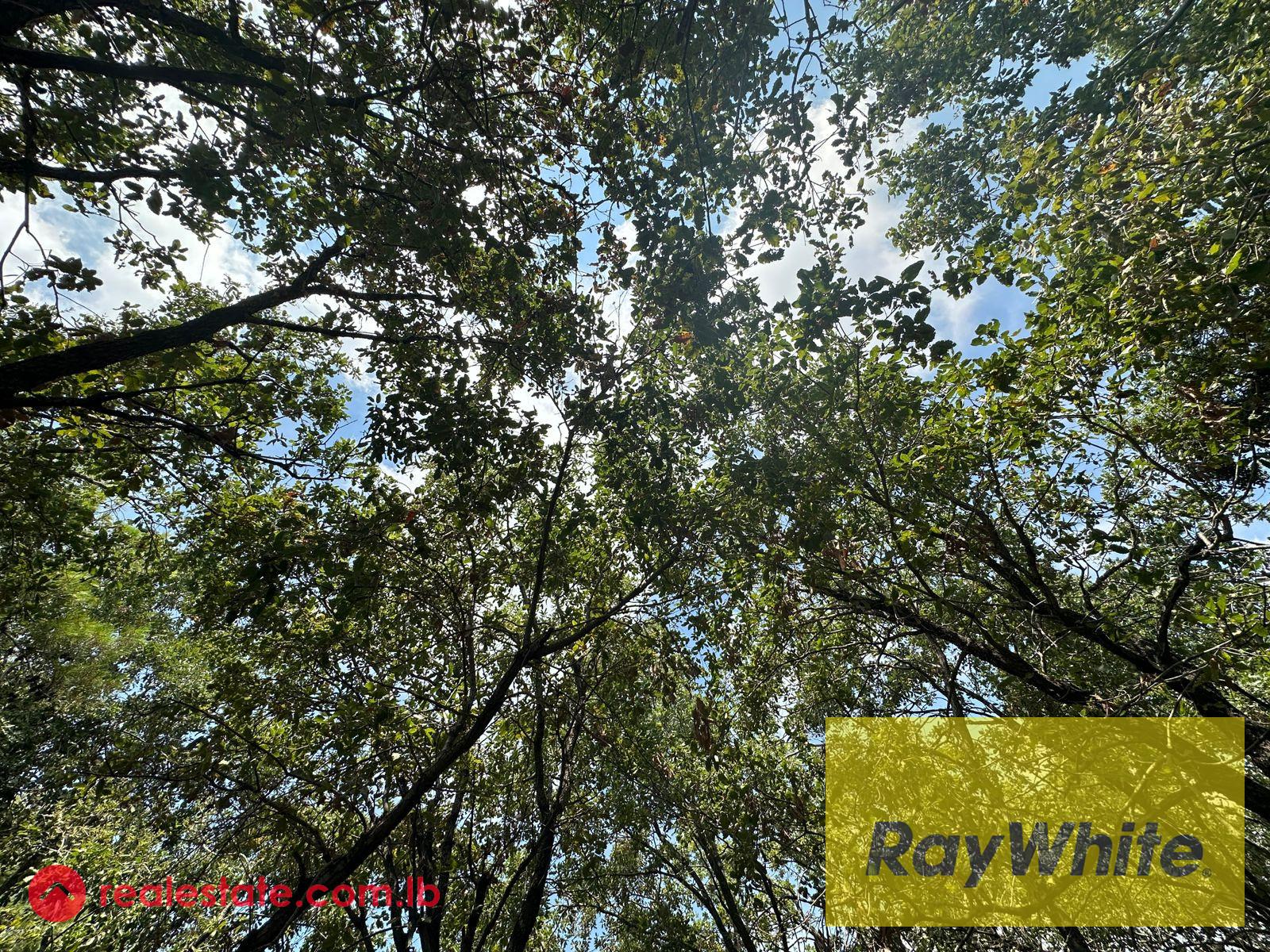 Land for Sale in Qornit El Hamra