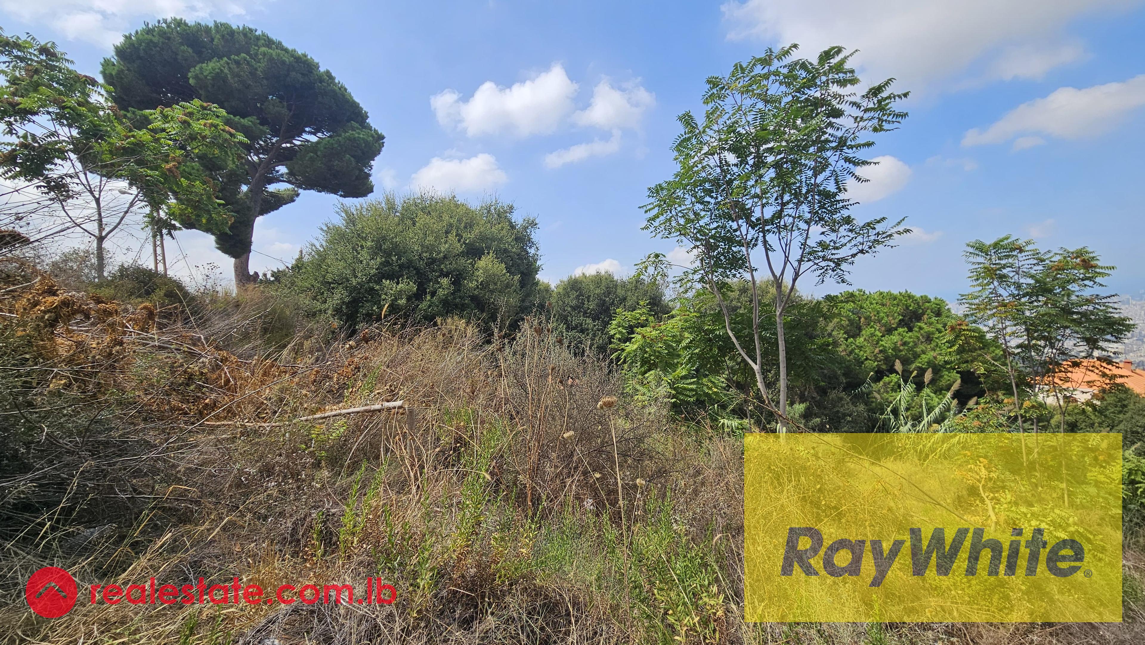 Land for sale in Ain Saadeh|Prime location