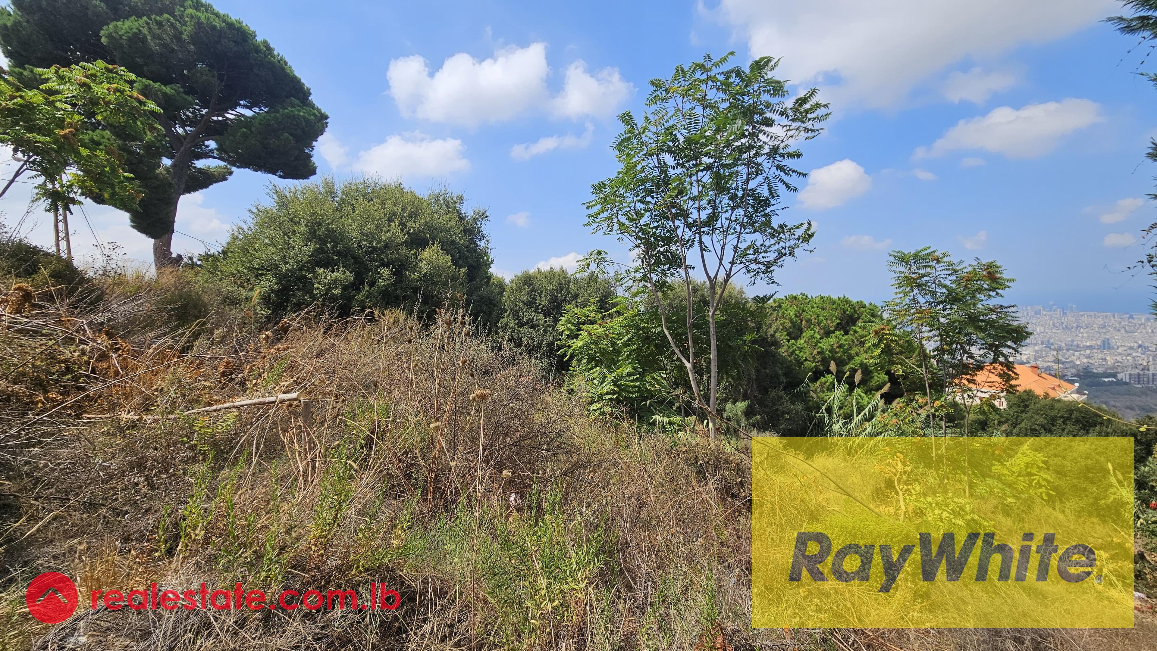 Land for sale in Ain Saadeh|Prime location