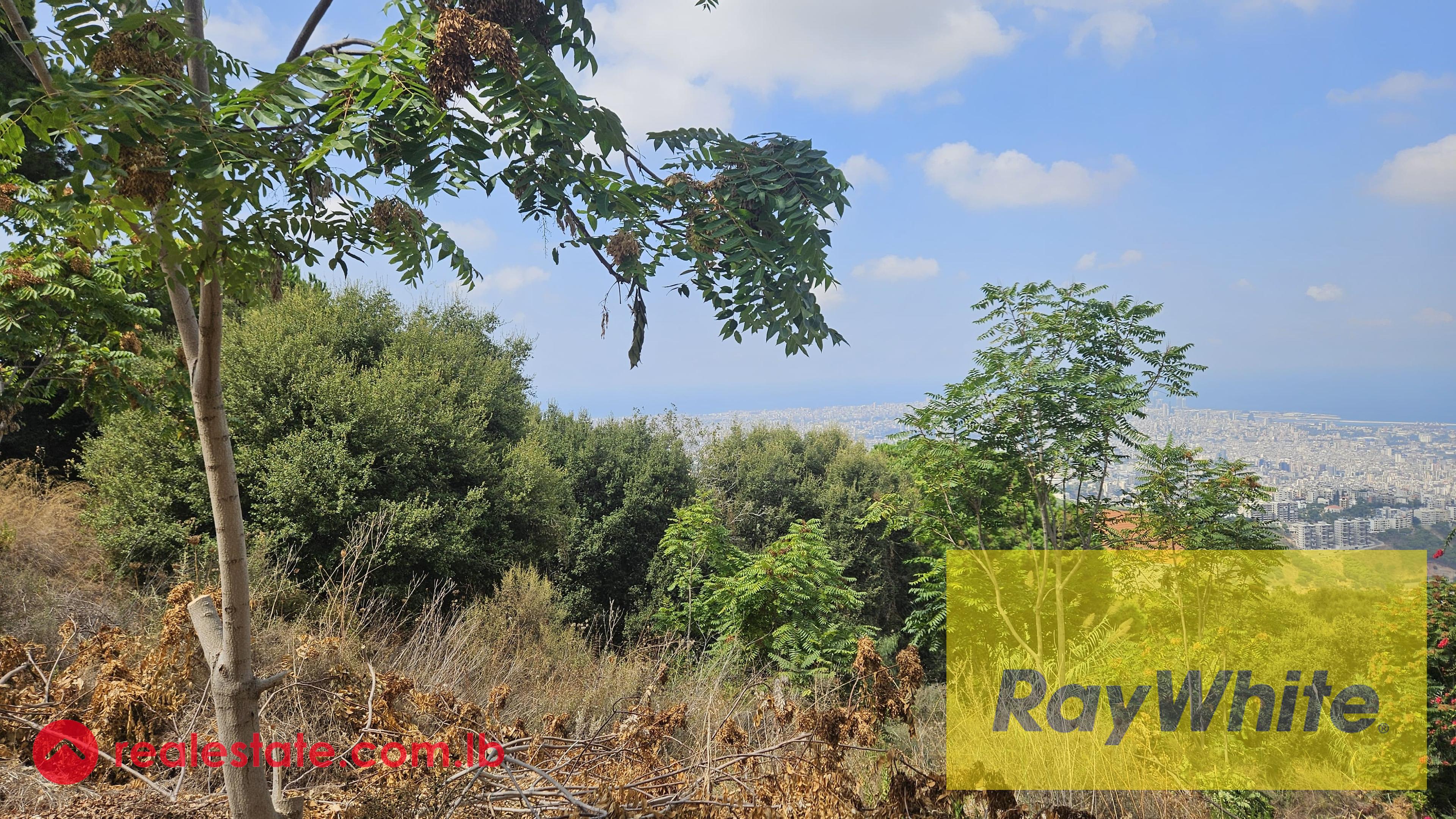 Land for sale in Ain Saadeh|Prime location