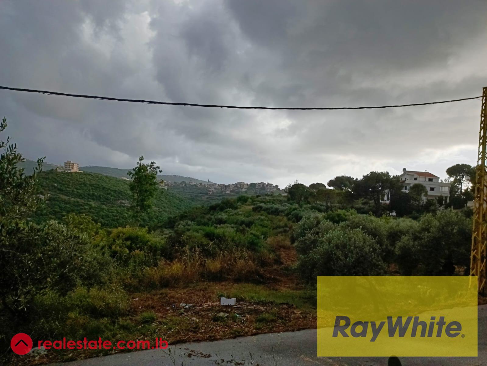 Land for sale in Al koura