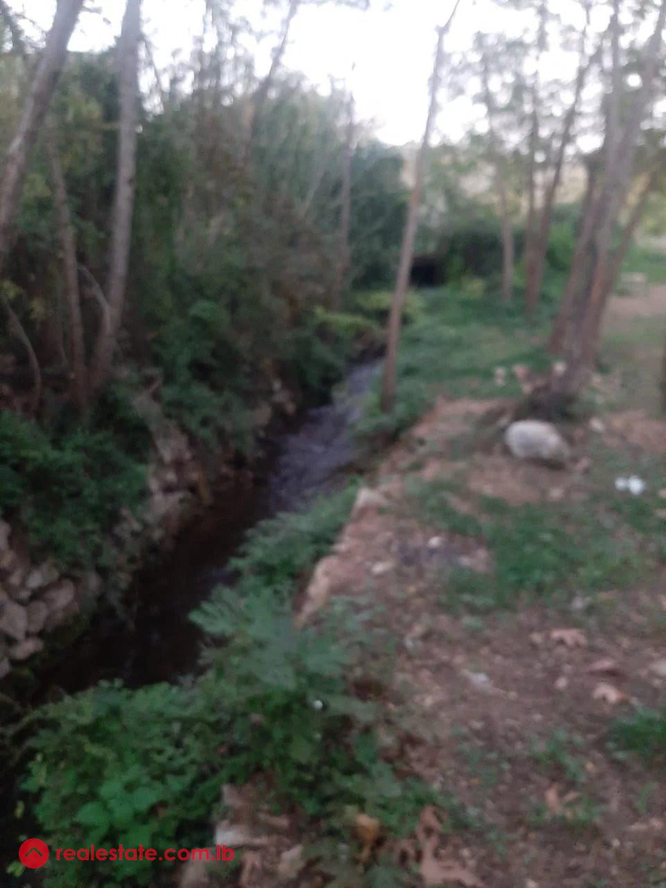 Prime 6000 sqm Riverside Plot in Kaftoun Koura – Ideal for Resort Development