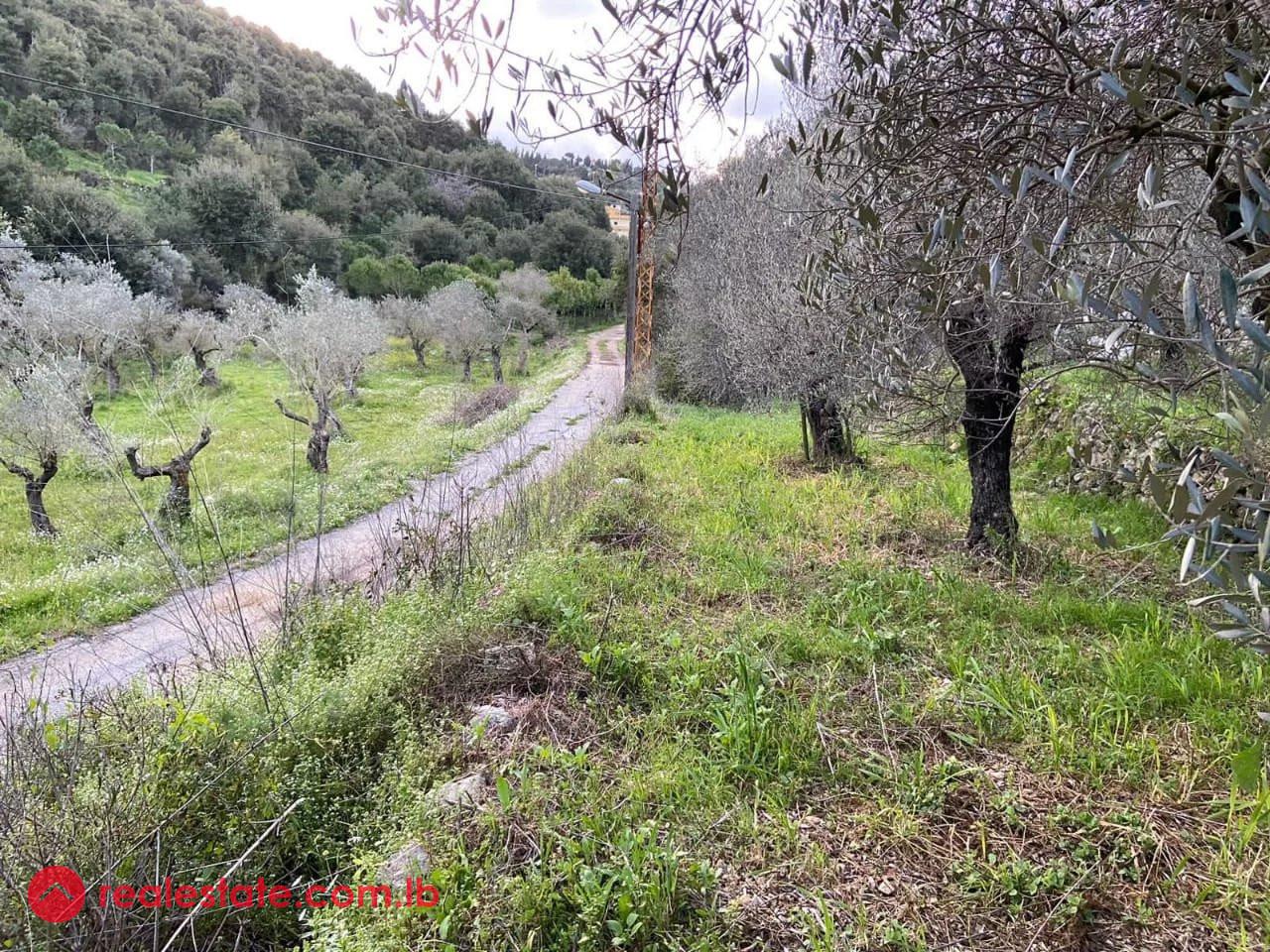 Prime 630 sqm Land in Jran El Batroun
