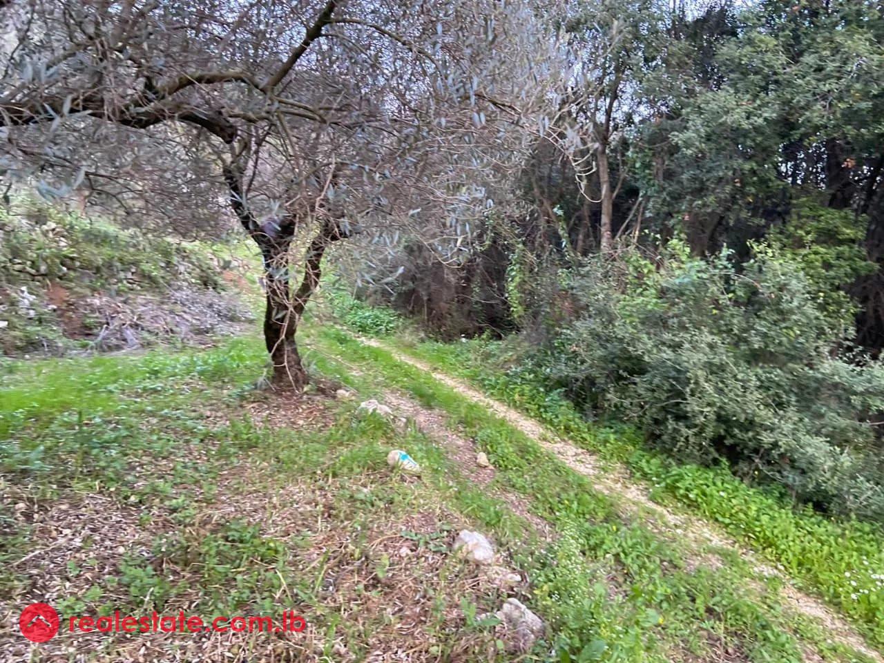 Prime 630 sqm Land in Jran El Batroun