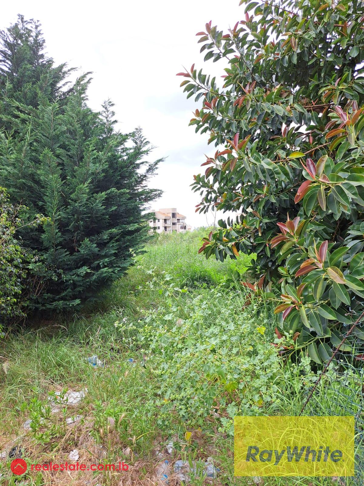 Land for sale in Mtayleb