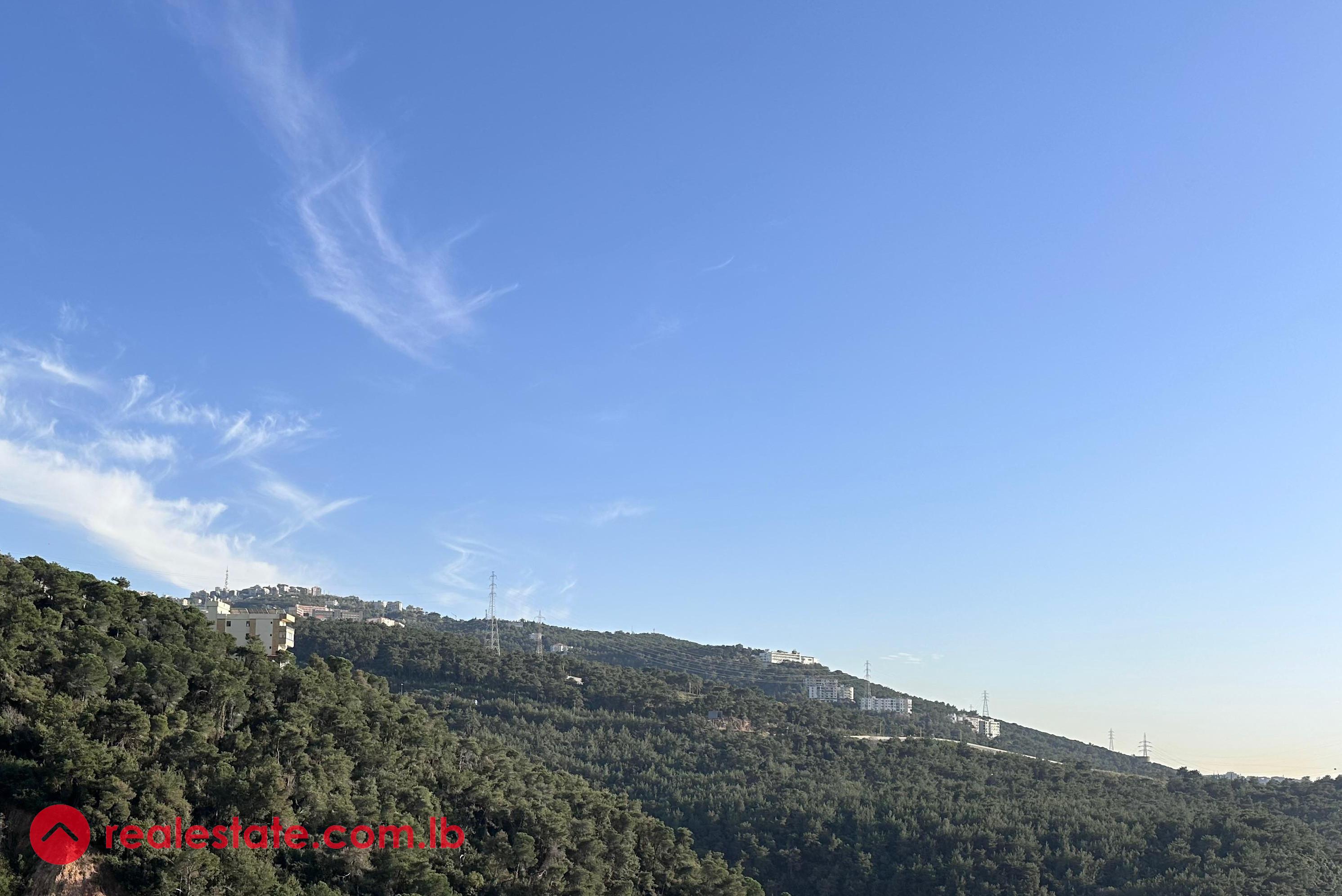 PAYMENT FACILITIES- Apartment in Bsalim + View