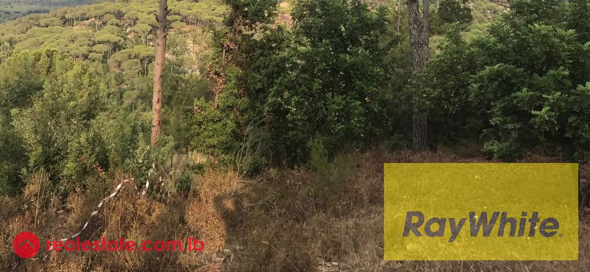 Land for sale in Qsaybeh
