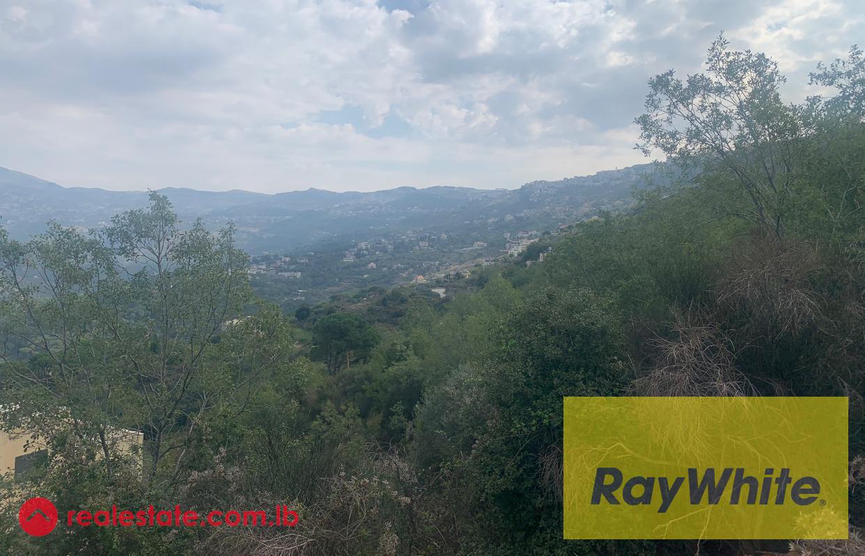 Land For Sale in Abadiyeh | Baabda District