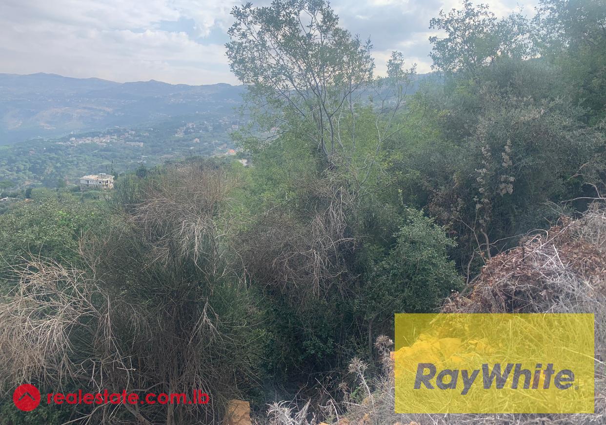Land For Sale in Abadiyeh | Baabda District