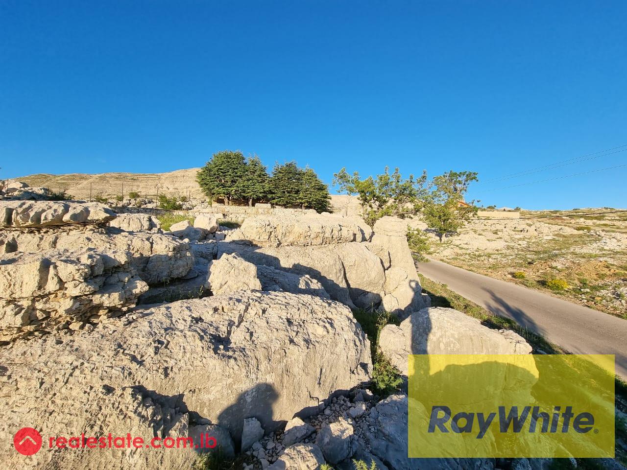 Land for sale in Qanat Bakich
