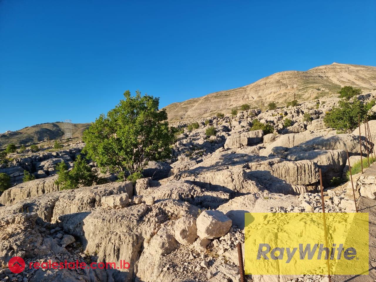 Land for sale in Qanat Bakich