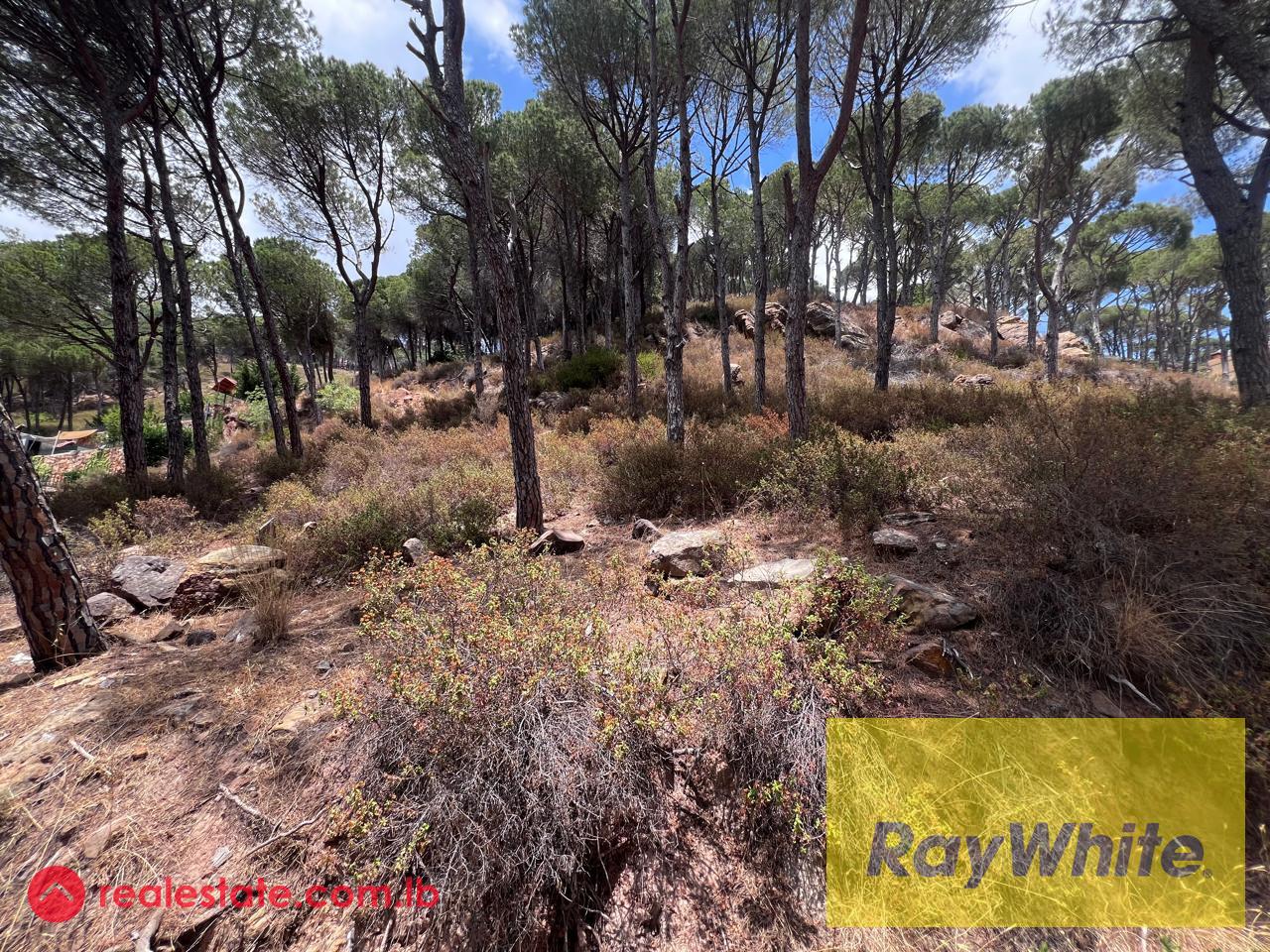 Land for Sale in Broummana