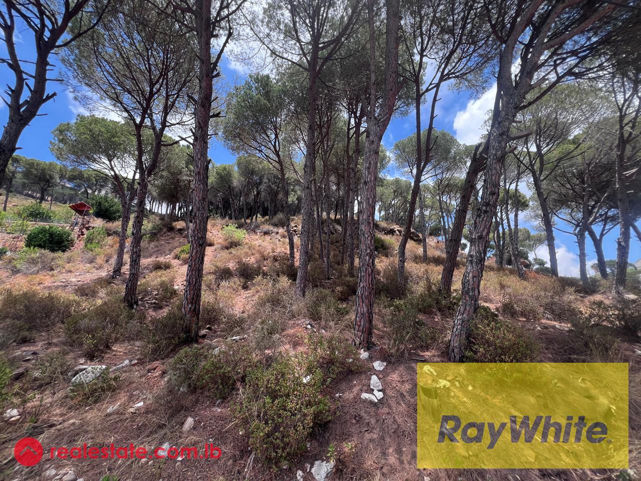 Land for Sale in Broummana