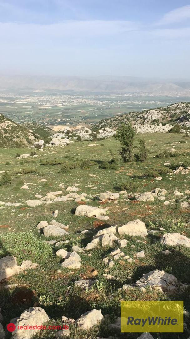 Land For Sale in Ain Dara