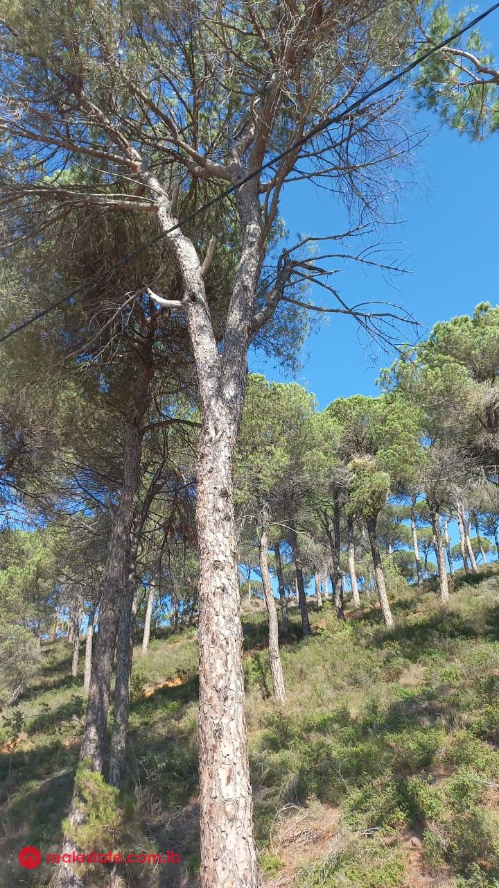 Exceptional Land With Mountain View in Bikfaiya
