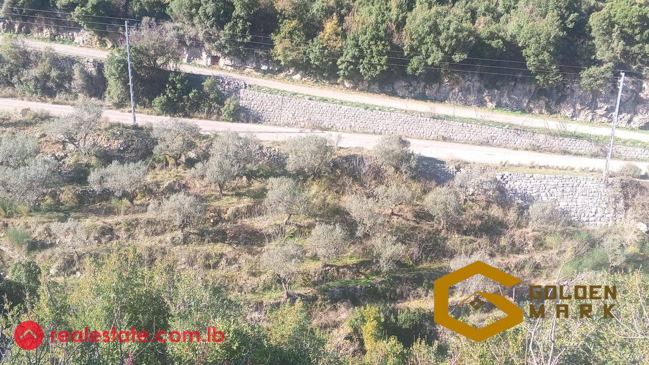 Land for sale in Batroun