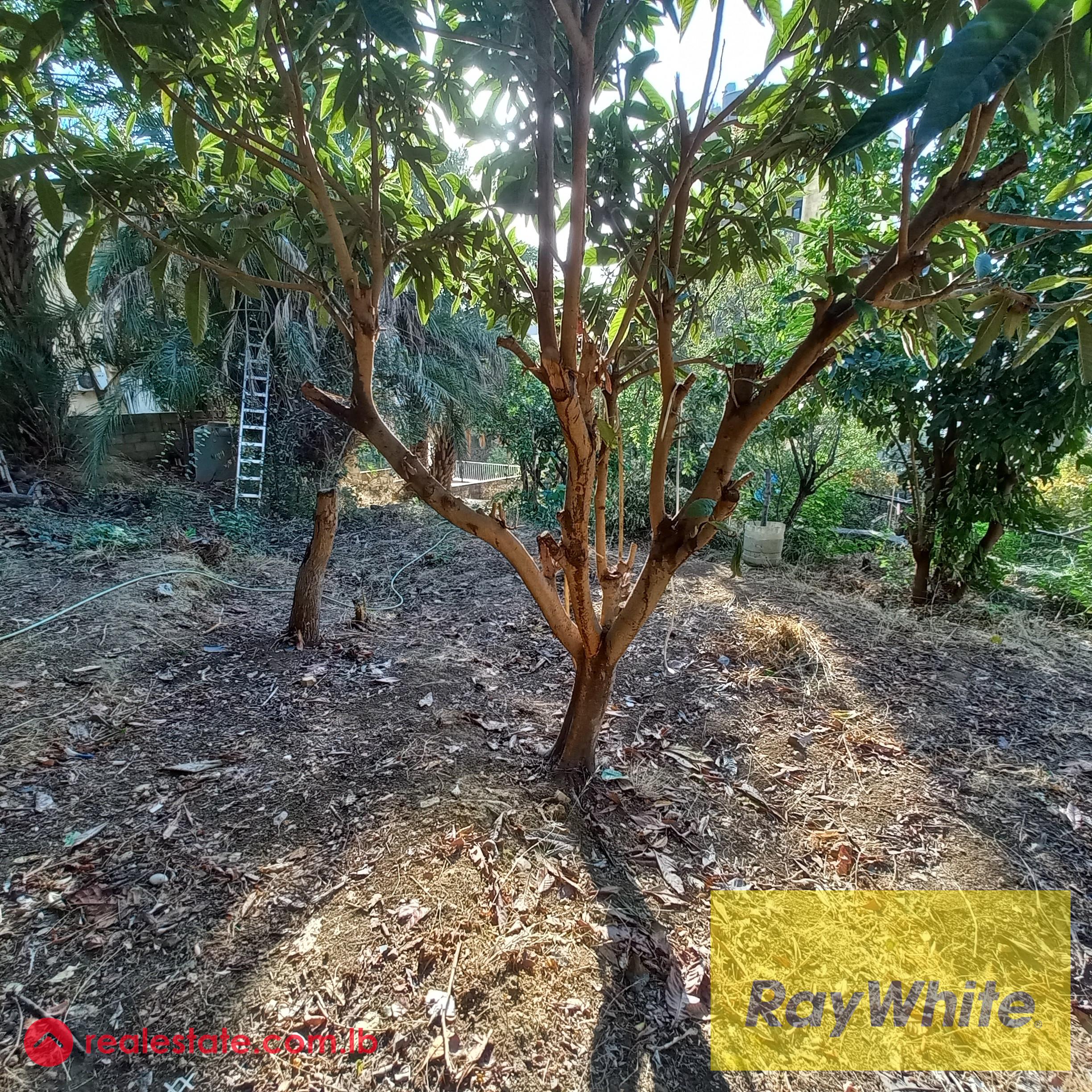 LAND of 863m in Bqenneya for sale