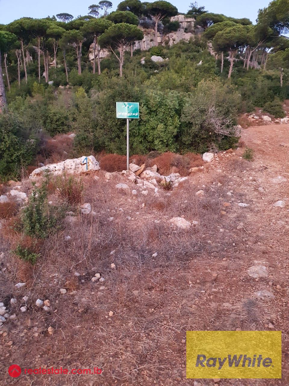 Multiple Lands for Sale in Ras Al Maten