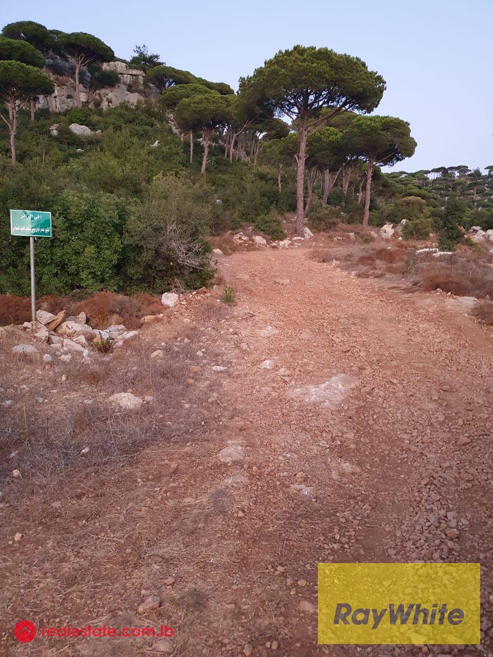 Multiple Lands for Sale in Ras Al Maten