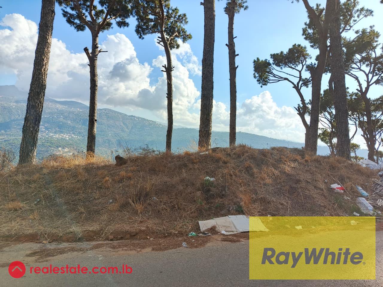 Land for Sale in Kaakour – 1,600 sqm